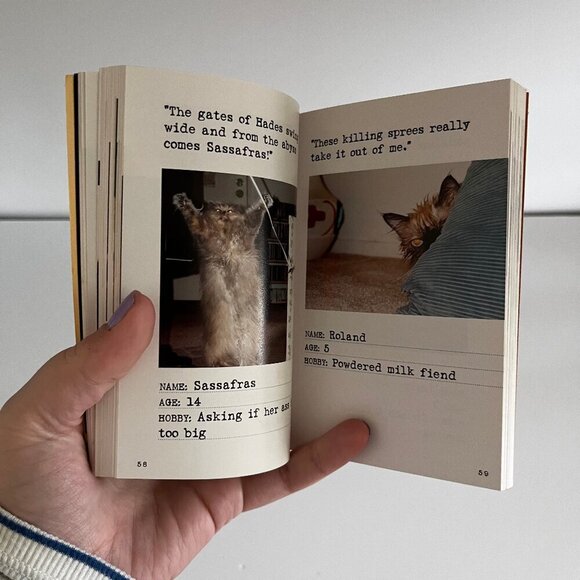 Bad Cat Humor Funny Book 244 Not-So-Pretty Kitties And Cats Gone Bad Jim Edgar - Picture 5 of 5